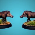 Photo of Wild Boar (EMP-AA105)