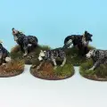 Photo of Wolves (FGX003)