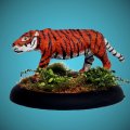 Photo of Tiger (EMP-AA107)