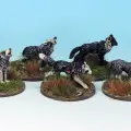 Photo of Wolves (MP26)