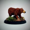 Photo of Bear (EMP-AA108)