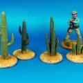 Photo of Cacti II (DMH707)
