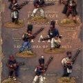 Photo of The Kingdom of Naples (Bourbon) Unit.  (TSB044)