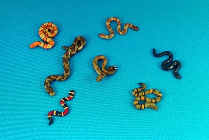 Snakes!
