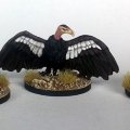 Photo of A Kettle of Vultures (3 models) (DMH654)