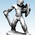 Photo of Celt Swordsman (FW3009A)