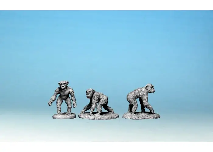Chimpanzees