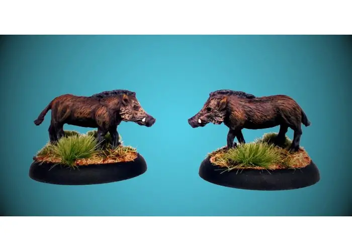 Wild Boar