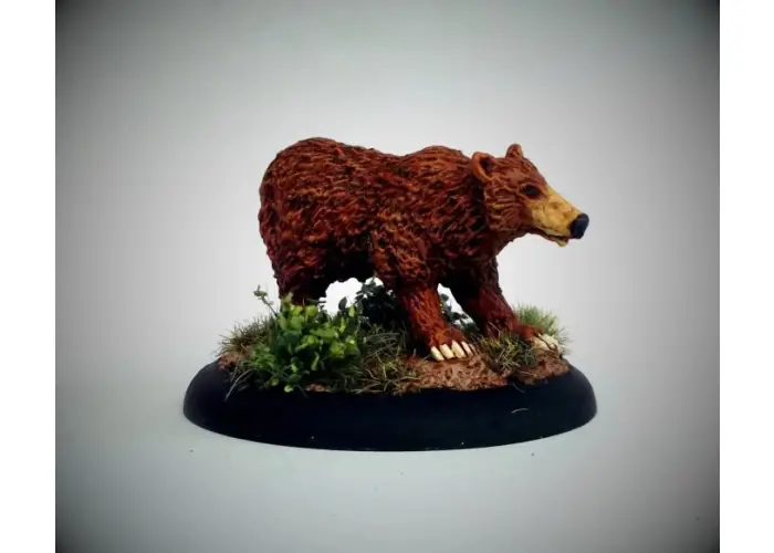 Bear