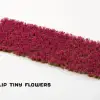 Photo of Garnet Tulip Tiny Flowers (GGFS-GT)