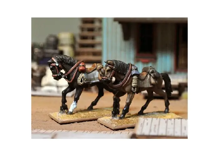 Riderless Horses